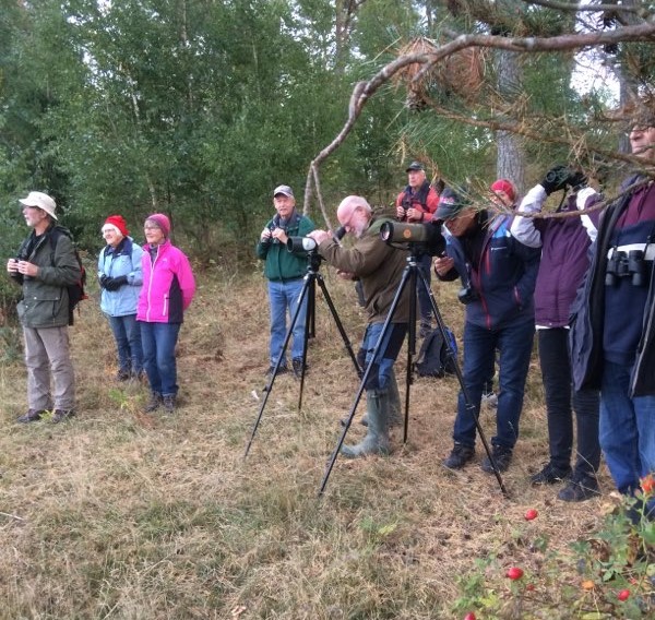 SPF Seniorerna Kiladalen har varit vid Skåra sjön där vi sett och hört flyttfåglarna.