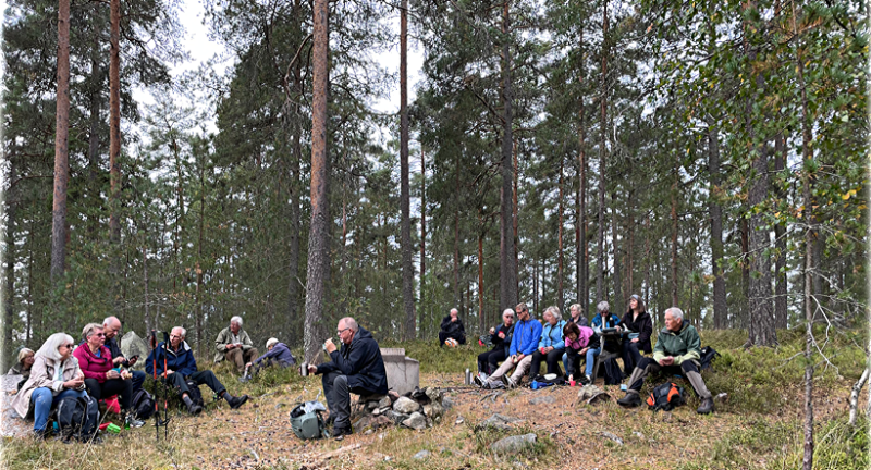 Skogsvandring ovanför Falu Gruva