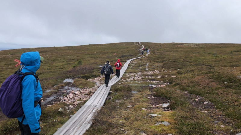 Fjällvandring i Sälen