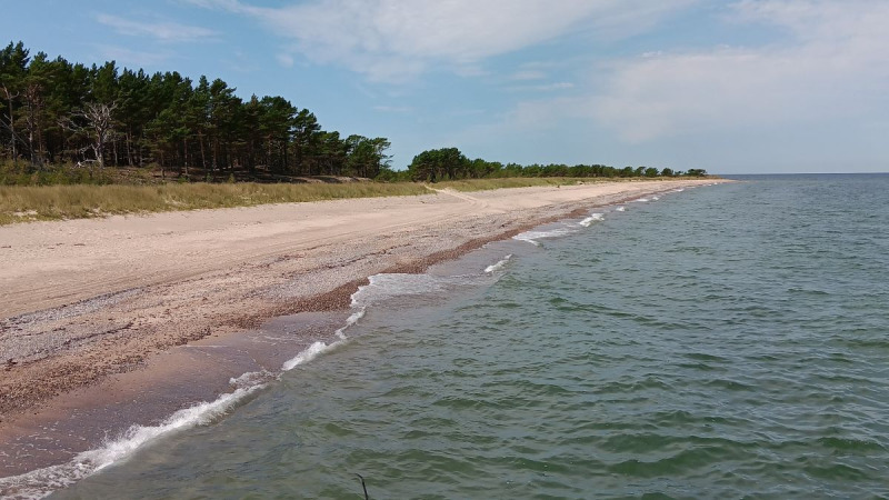 En söderhavsö i Östersjön